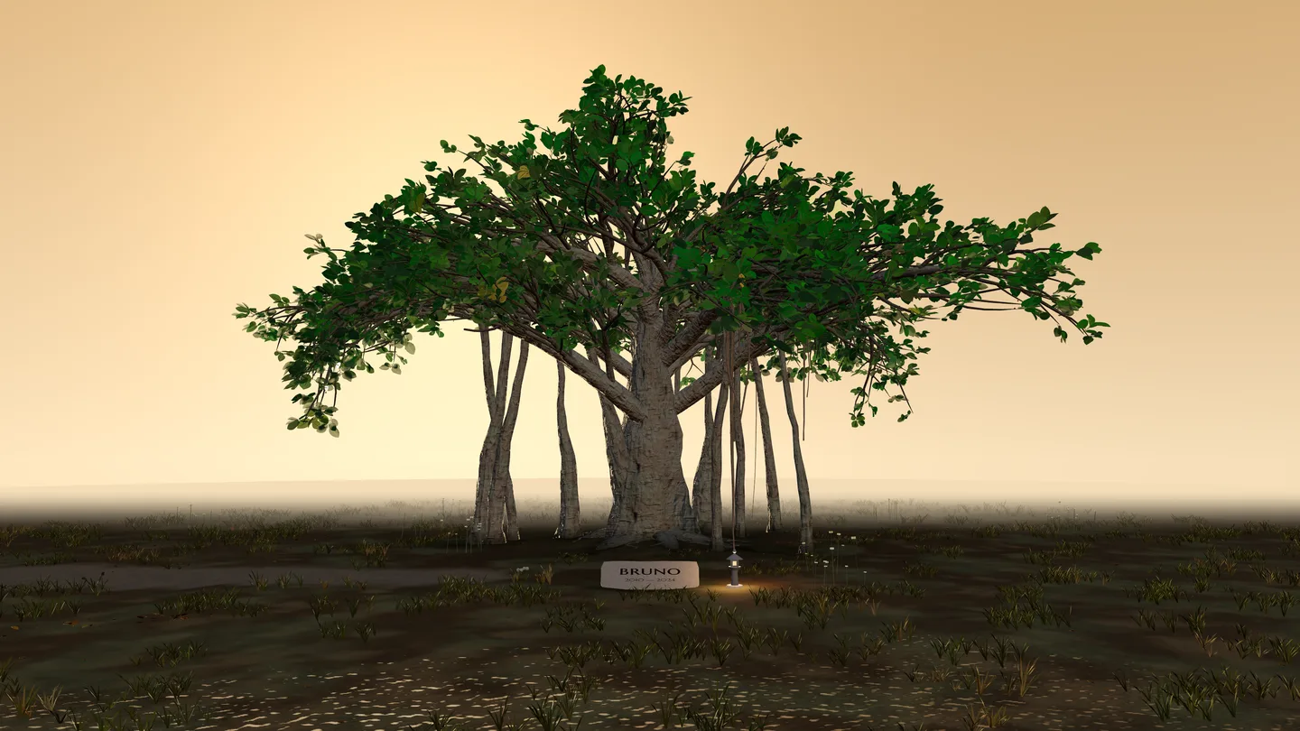 Example memorial for Bruno: a Long Limb banyan held in a wide, tended wildflower garden.